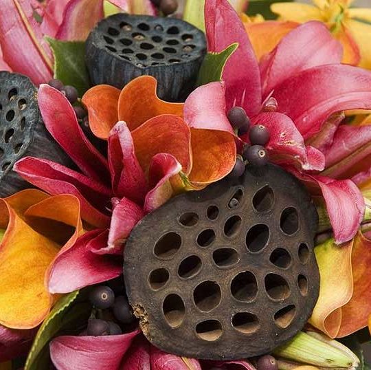 http://www.suzannewaldroncivilcelebrant.com.au/suzannewaldroncivilcelebrant/wp-content/uploads/2018/04/suzannewaldron-weddings-midnorthcoast-portmaquarie-kempsey-coffsharbour-nambuccaheads-valla-urunga-sawtell-540x538.jpg